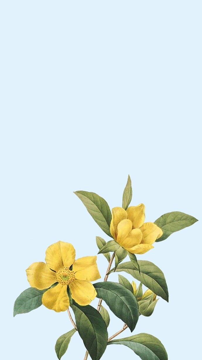 精美花卉壁纸合集,尽显欧洲浪漫气息,美到无法抗拒