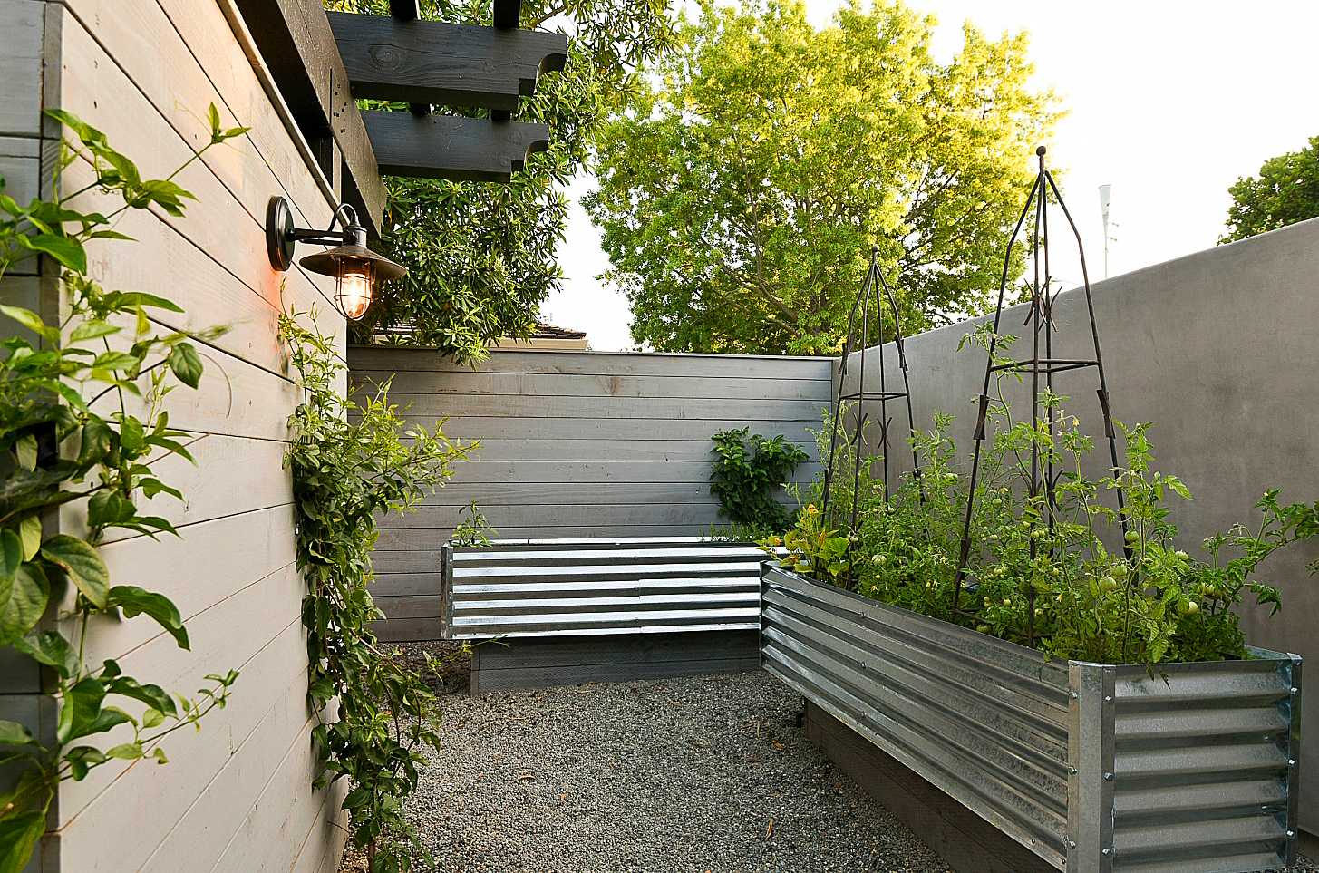 用藤条编制出蔬菜分割区域,种植了多种多样的蔬菜 转载自百家号作者