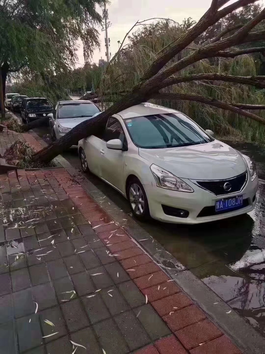 下雨天停车的朋友需要注意了,郑州多辆汽车停在路边严重受损!