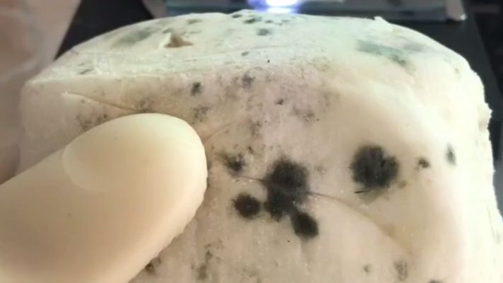 将长霉的“馒头”放大200倍,看看会是什么样子呢?