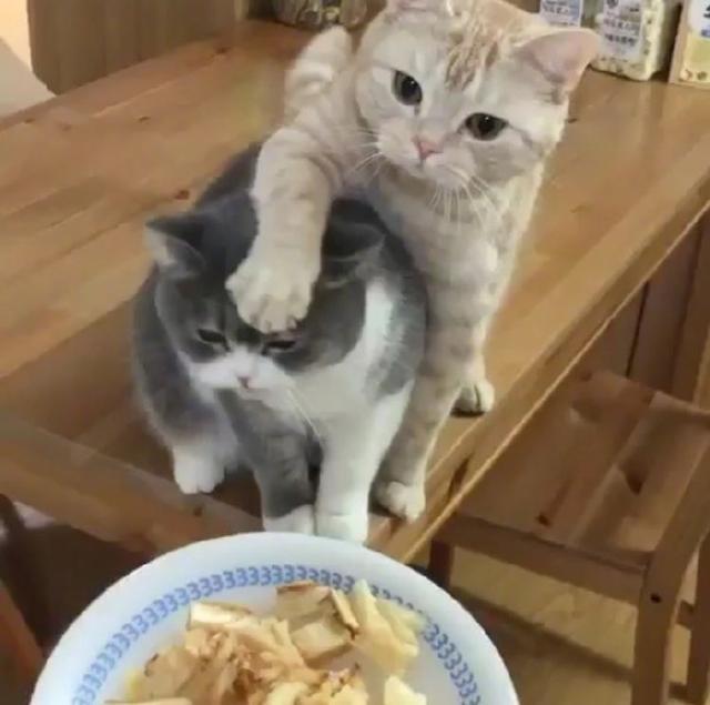 抢吃 baijiahao.baidu.com