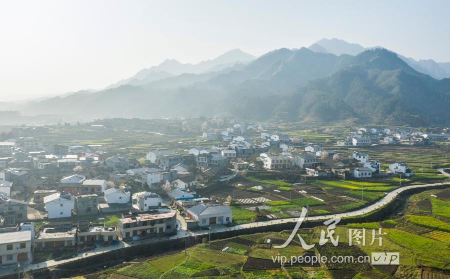 2019年3月19日拍摄的湖北竹溪县中峰镇甘家岭村.