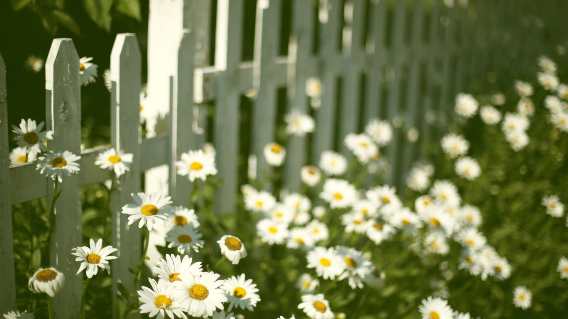 发朋友圈很走心的经典语录句子,2019最火的句子