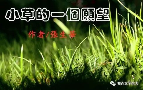 「內蒙古」張生華:小草的一個願望(現代詩)