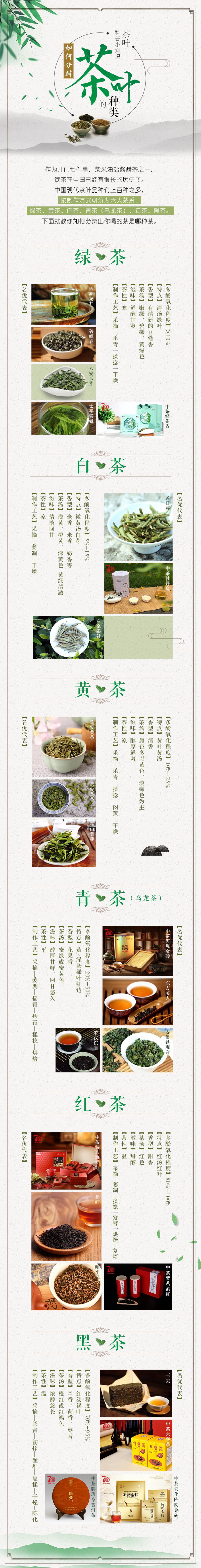 「图解」茶叶科普小知识——如何分辨茶叶的种类