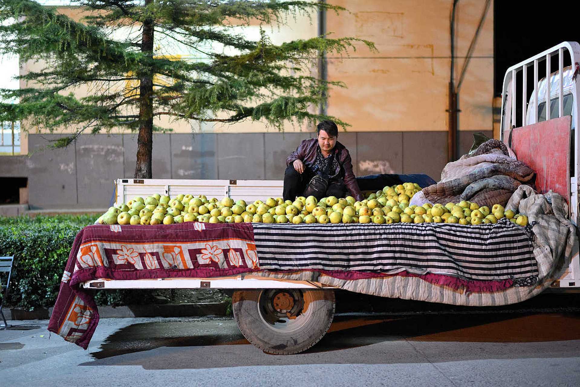 卖水果三轮车车棚制作图片