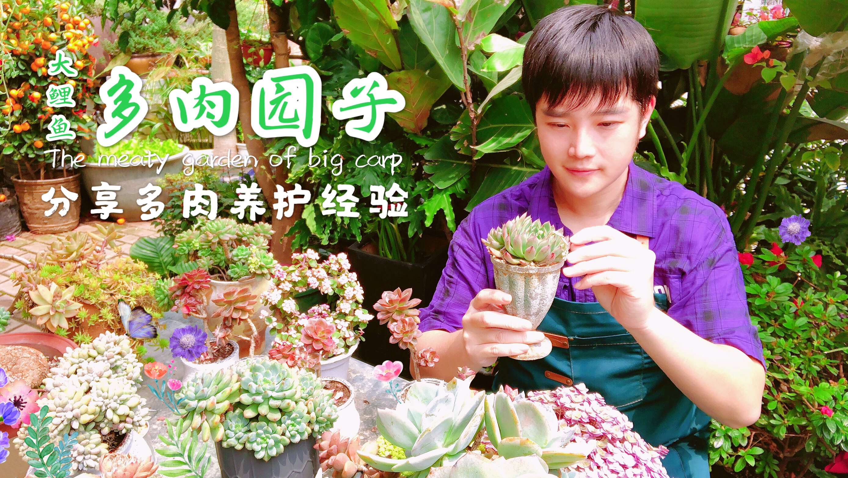 多肉达人与你分享 养肉肉就是要从小苗开始慢慢栽培才有趣!