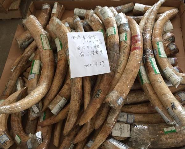 警方拦下一"载木"货车,仔细一查发现不对劲!