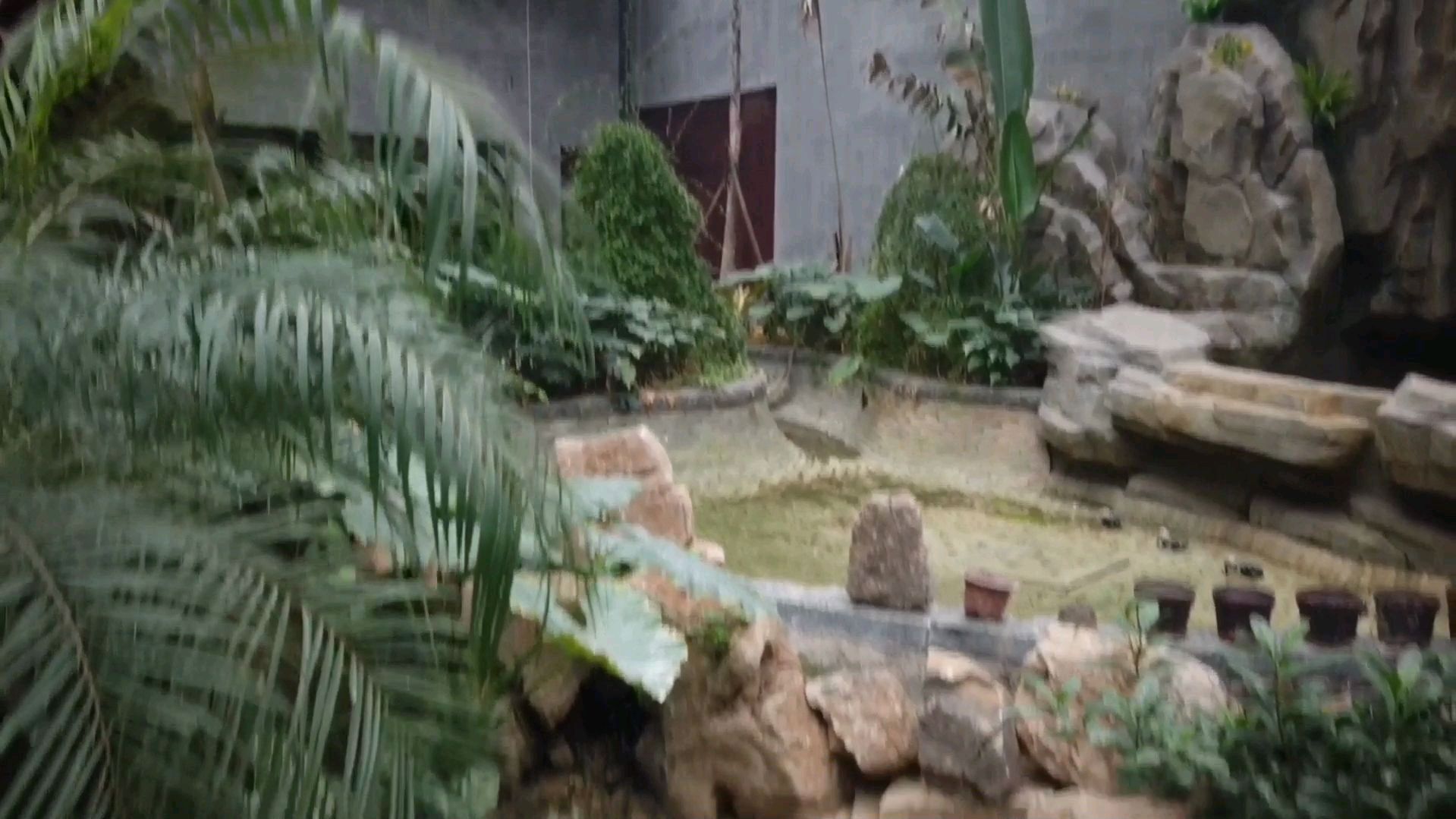 VLOG:景观设计的一流,可是南方植物到了北方后,冬季如何栽培?