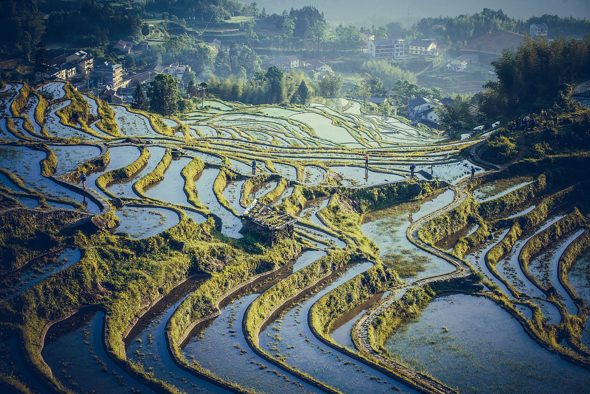 位于浙江省丽水市云和县的云和梯田,是中国最美的梯田之一,被誉为大自