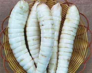 集市上这种"大白虫"很特别,路人只看却不买,识货大叔全包圆