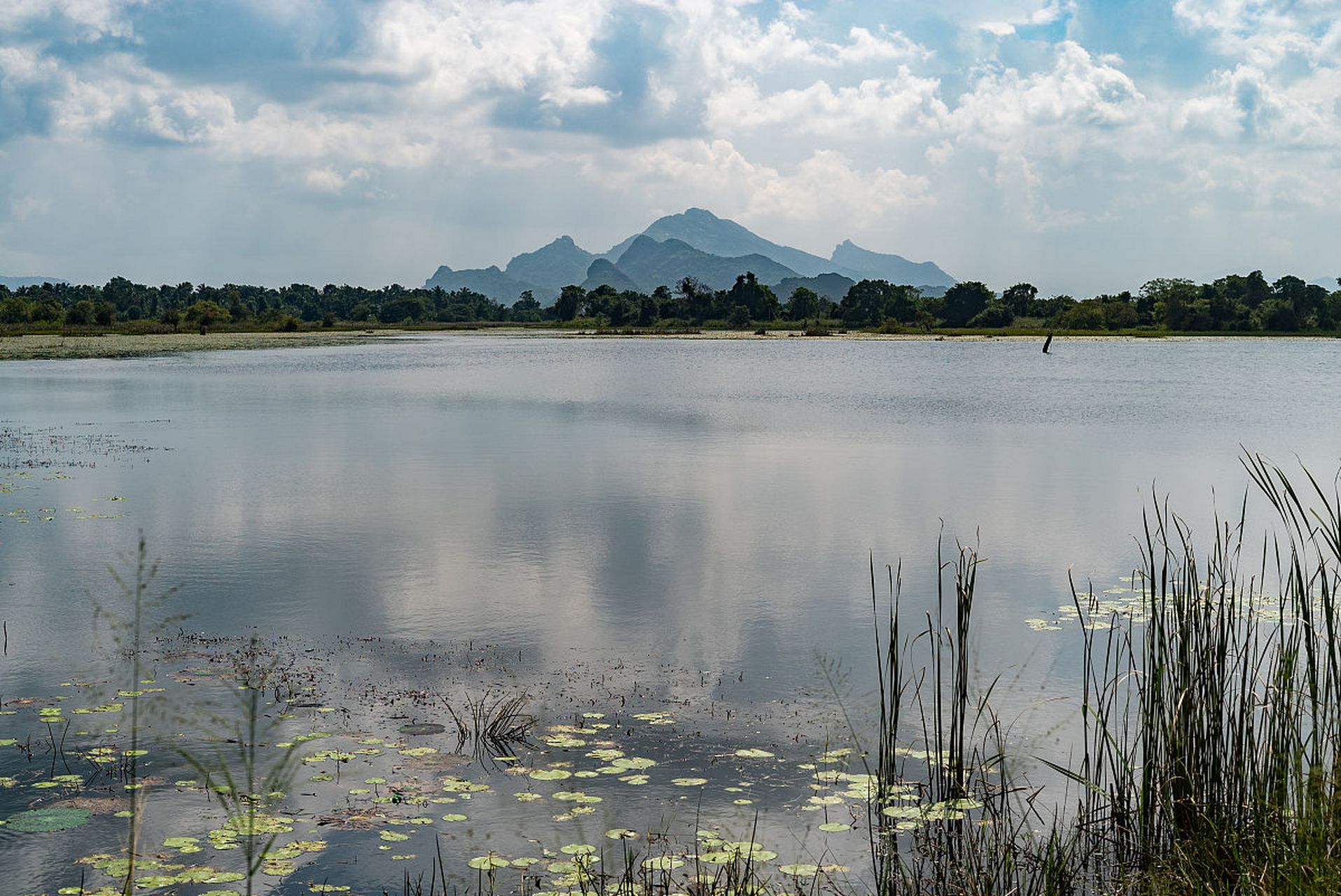 瓦埠湖是安徽省淮南市寿县东南部的湖泊,以其壮丽的自然风光,丰富的