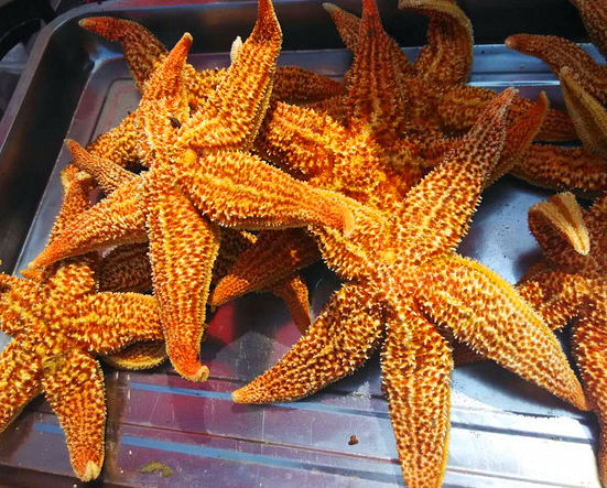 非常重口味的一道海鲜小吃"烤海星"