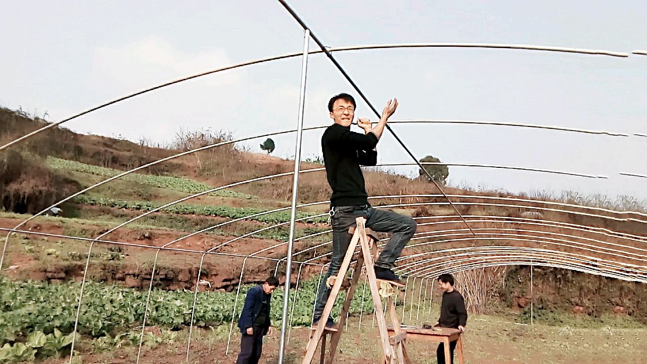 钢管蔬菜大棚搭建:小伙自己组装,看上去还不错,要省很多成本