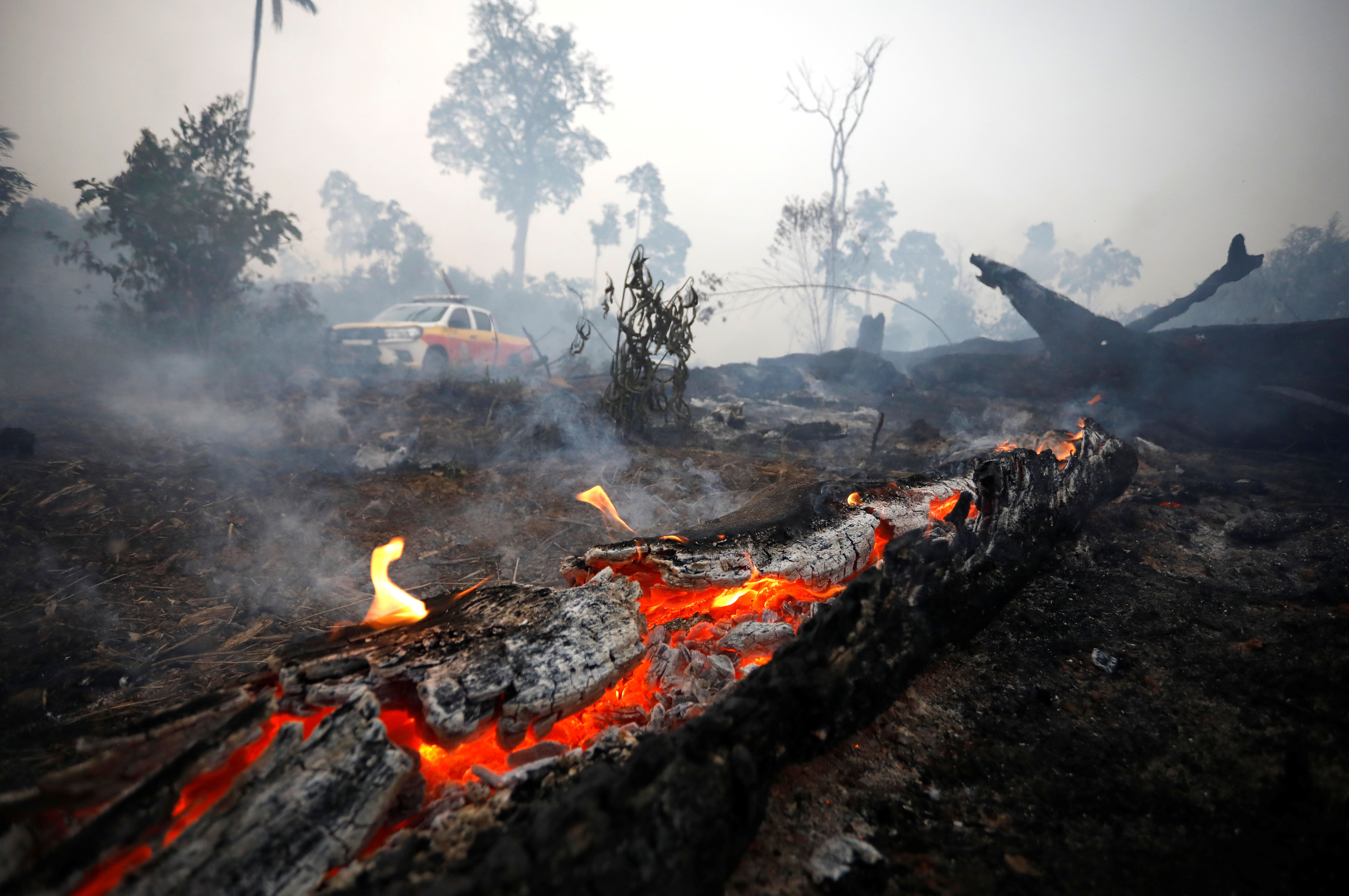巴西政府暂停雨林烧荒(1)