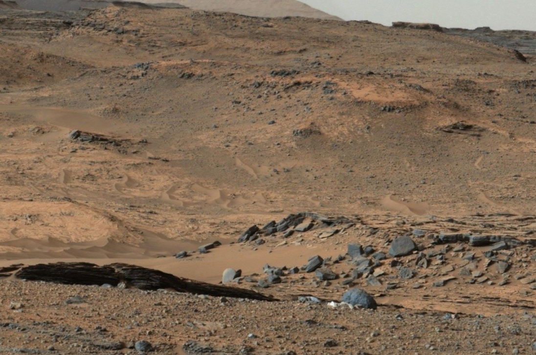 火星土壤培育出生物,类似于地球上的蠕虫,是属于火星上的生命吗