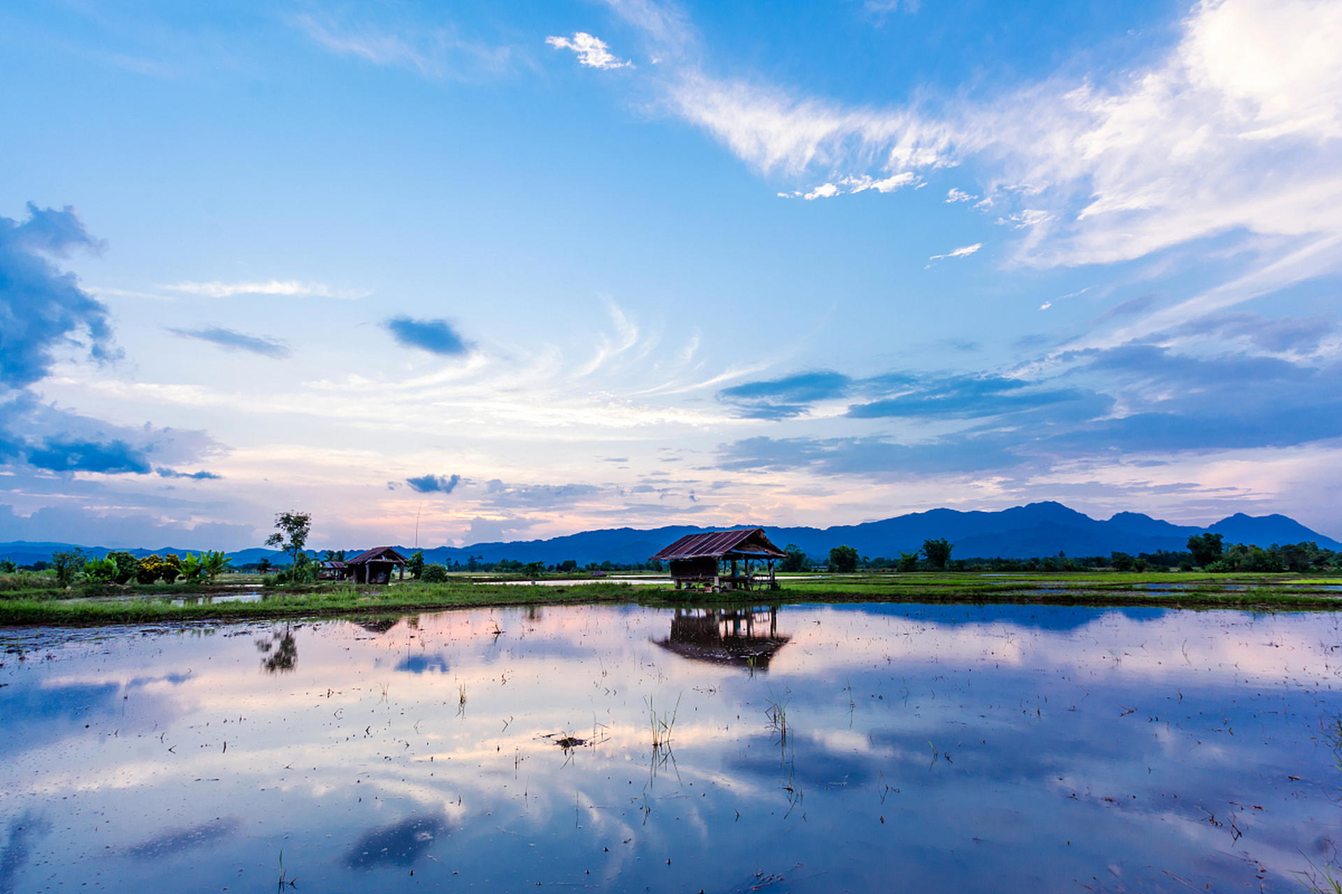 镜头里的春天# 随着春风的吹拂,中国贵州省毕节市的威宁草海迎来了