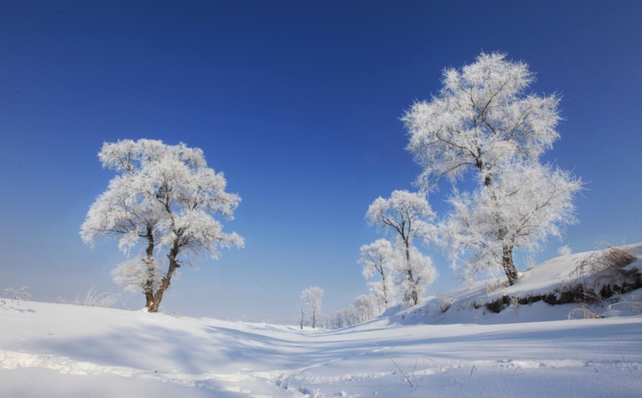 冬季雪花飘飘图片大全图片