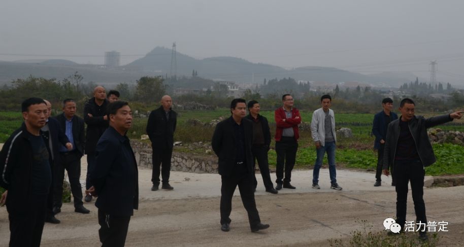 普定:白岩镇举行镇内韭黄产业观摩比拼