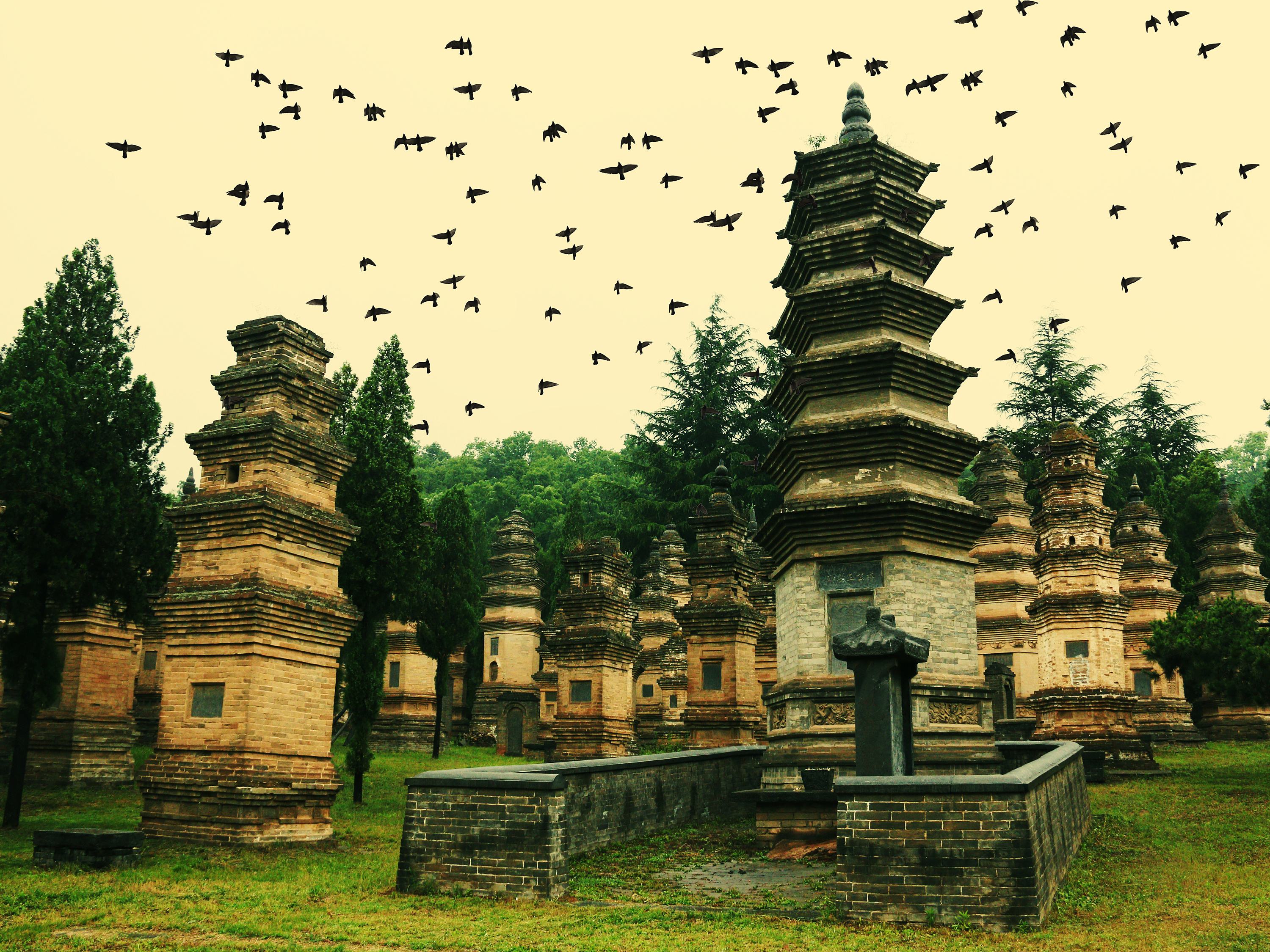 河南登封少林寺一日游攻略:看千年古刹,品厚重历史