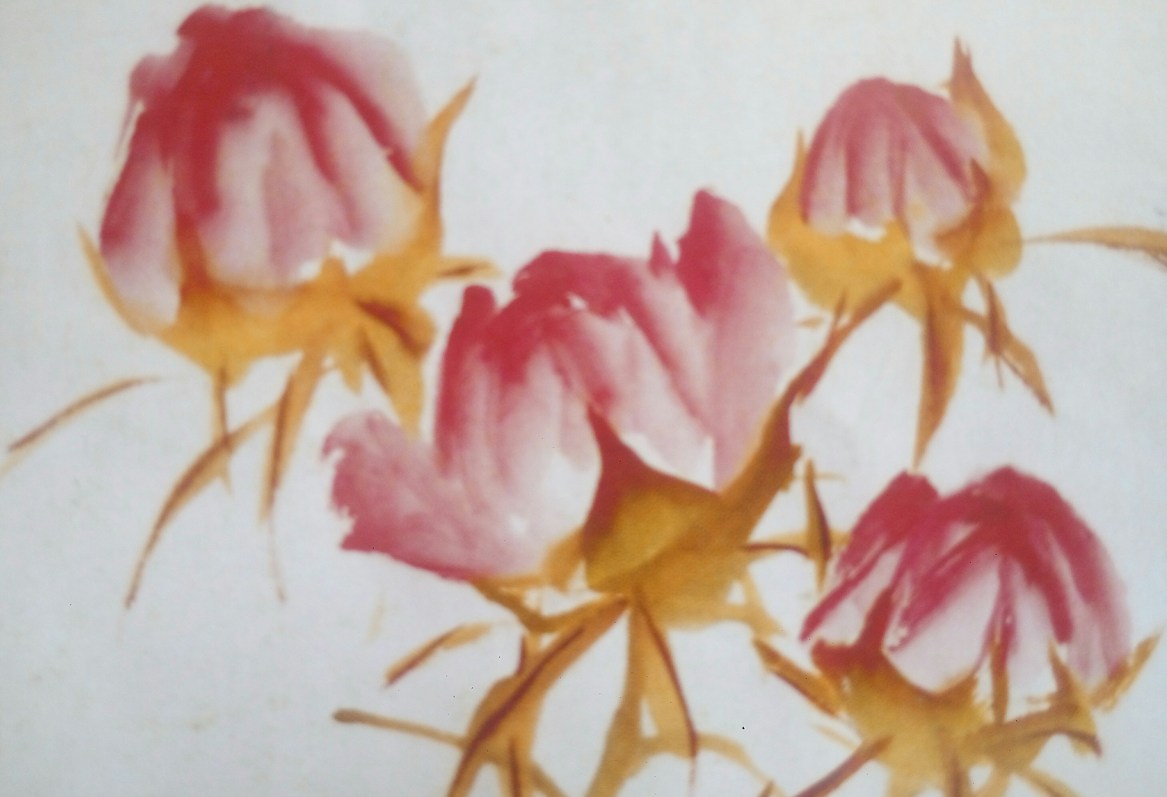 水墨画:写意牡丹技法(三)