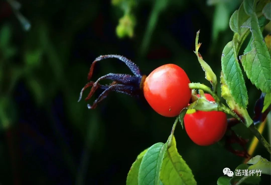 一场秋雨一场寒,等待属于自己的热了过头,想盼凉凉地秋天到来