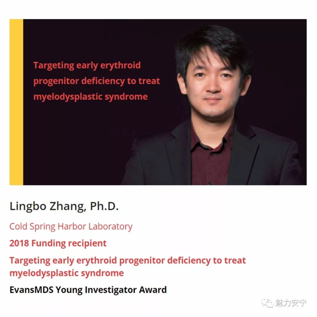 【今日要闻】安宁小伙张凌波获美国青年科学家大奖