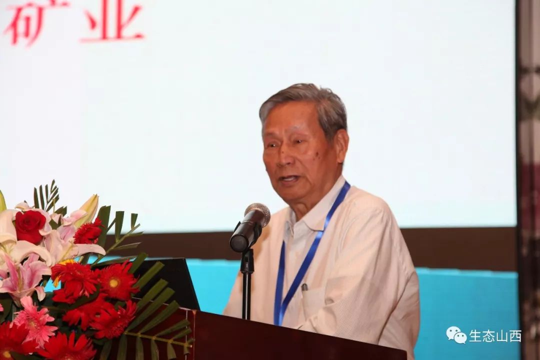 「院士心声」陈毓川:我国已完全具备发展绿色开矿的条件