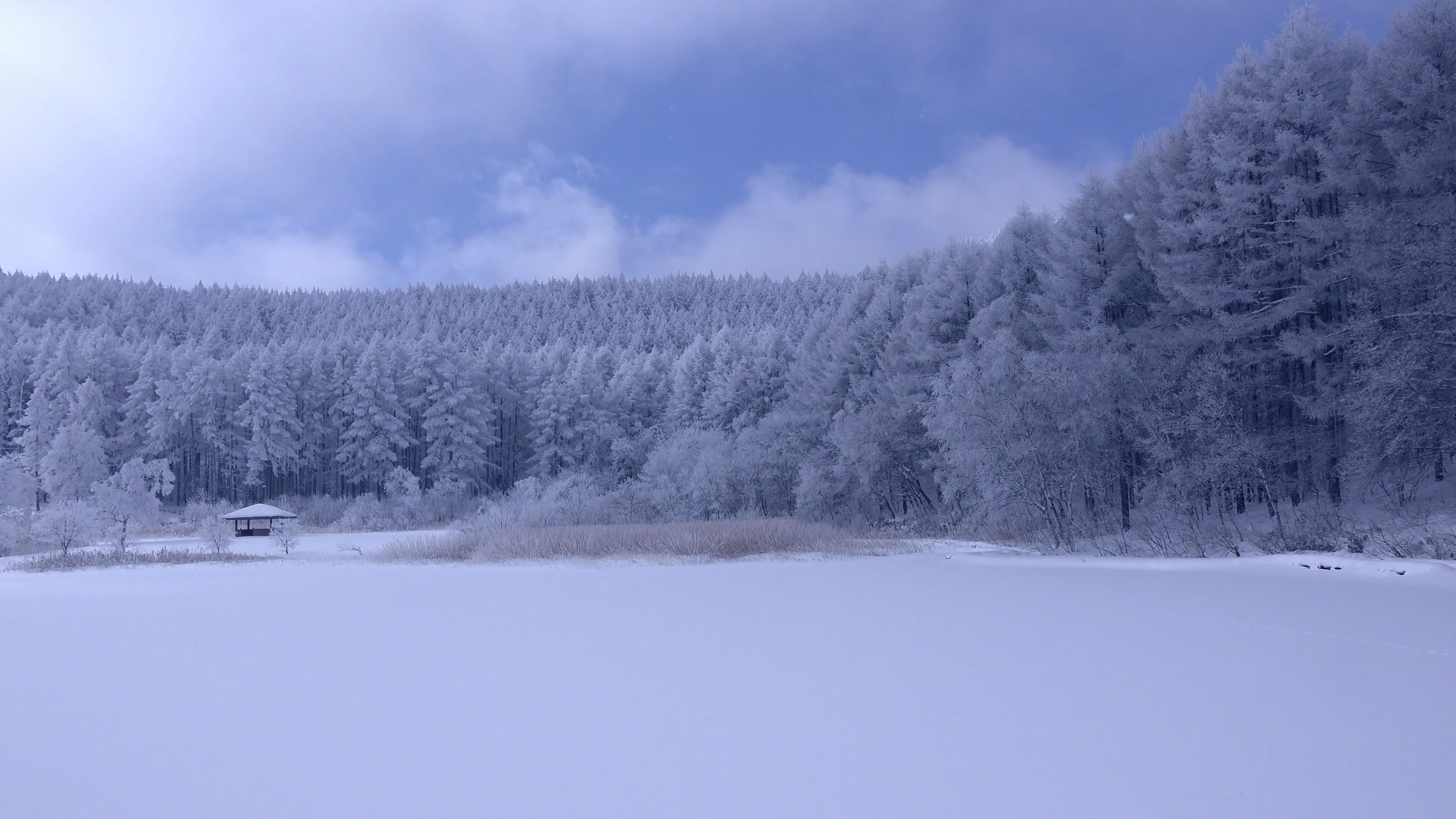 看一看风景 大雪