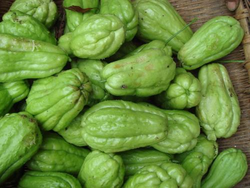 一道非常好吃的奎瓜肉丝,深得大家的喜欢