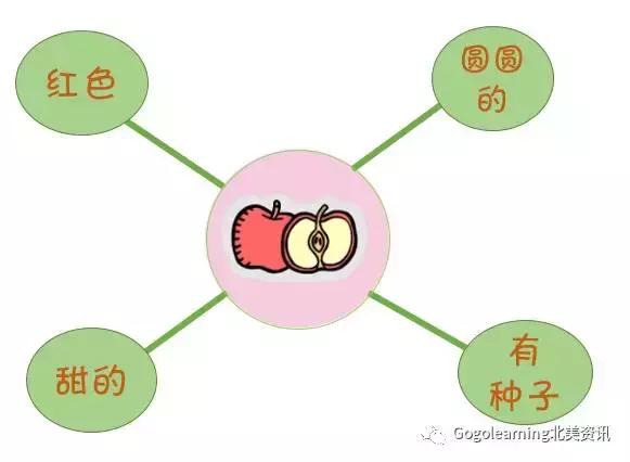 曲别针的用法思维导图图片