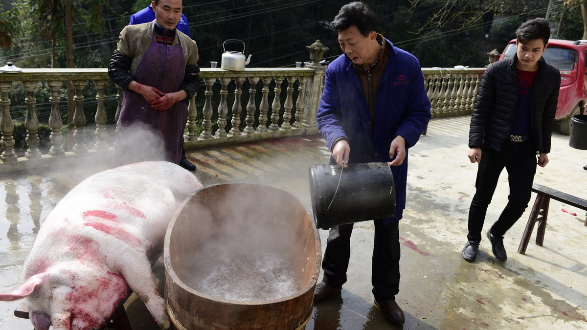 农村杀猪佬不缺肉吃,为何很多屠户不愿意子承父业?听听屠户咋说