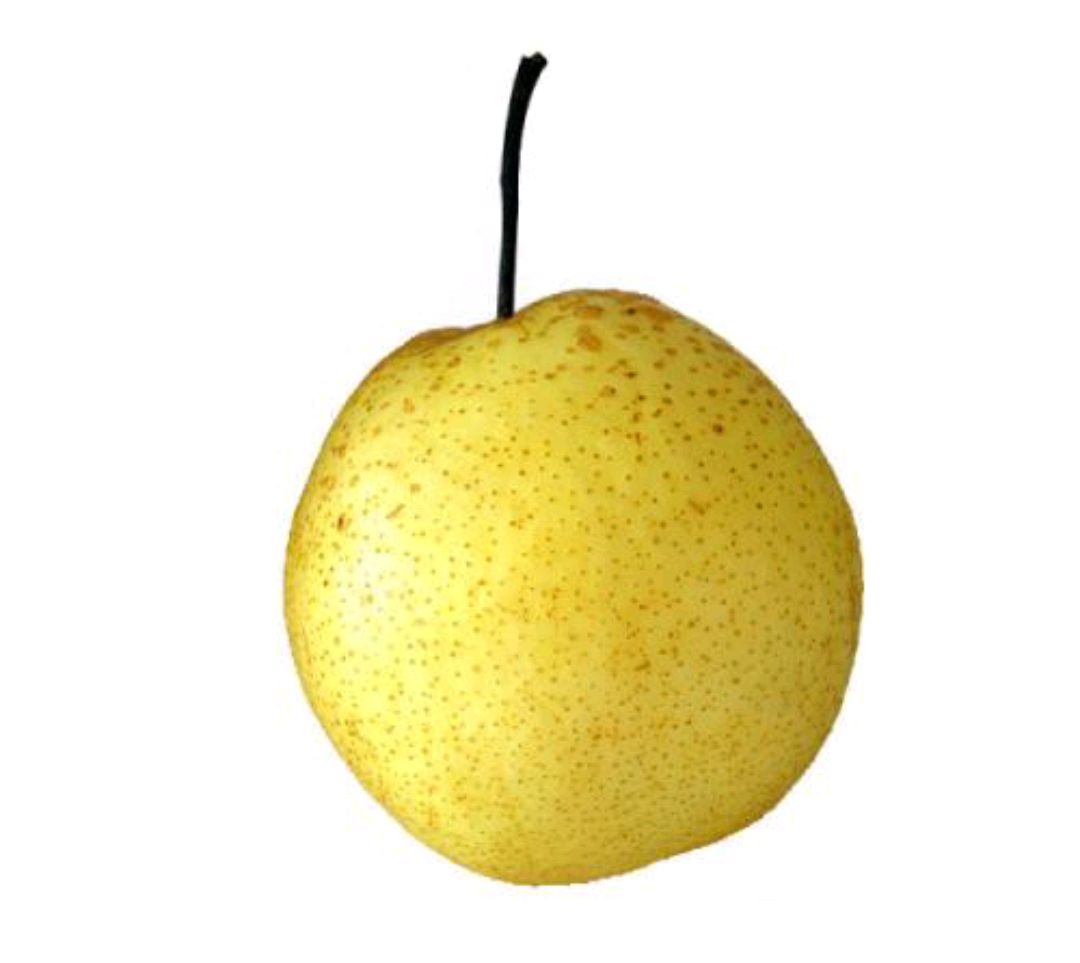 春季适合吃的雪梨功效你知道哪几样