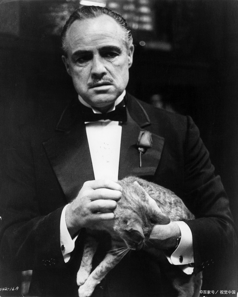 备受人们推崇和喜爱:  《教父》(1972) 导演:弗朗西斯·福特·科波拉