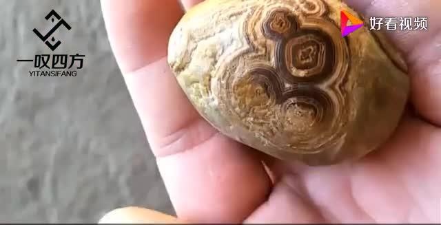农村男子野外捡到"金钱石",通体布满铜钱花纹,鉴定后价值不菲