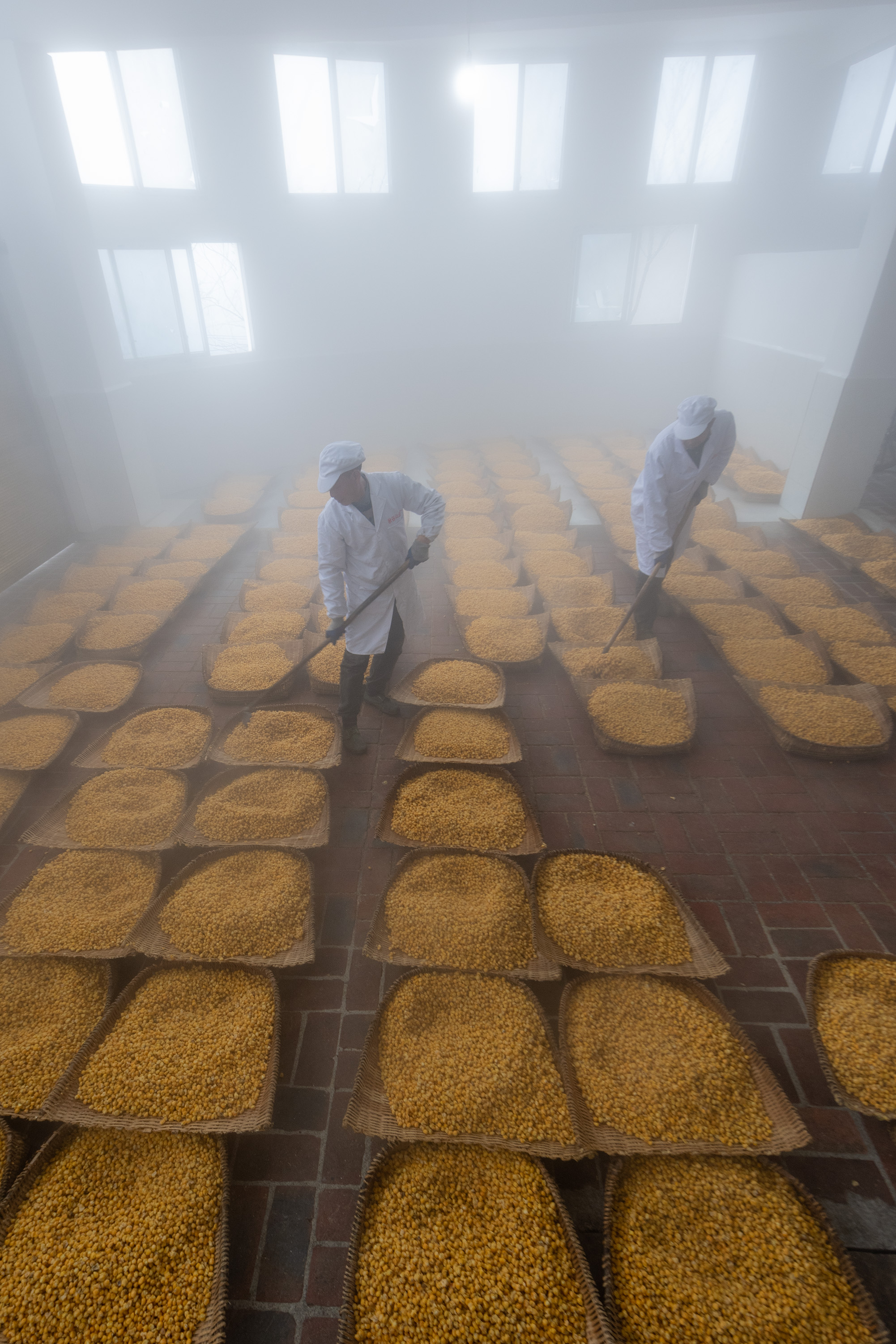 湖北秭归:传统酿酒香飘山乡