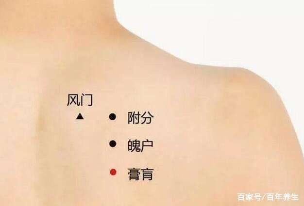 咳嗽,痰多找膏肓——膏肓穴!