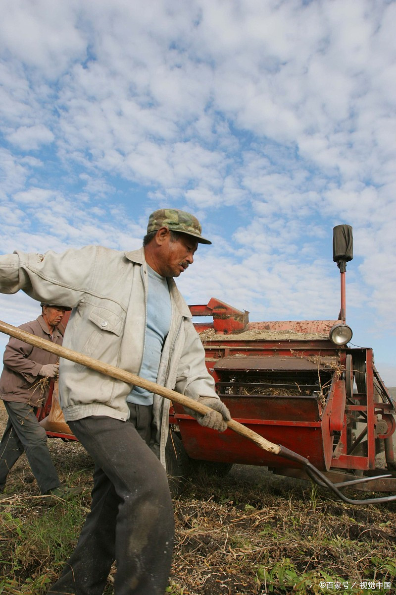 春耕秋收是农民的事业,我们一辈辈的传承着重复着!