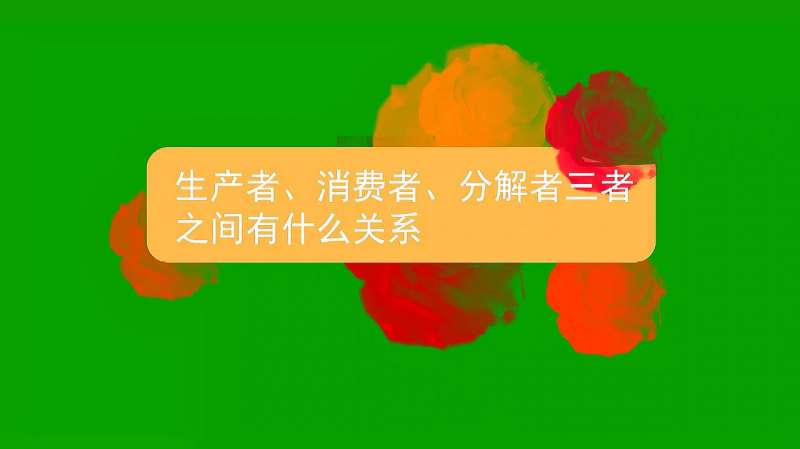 生产者、消费者、分解者三者之间有什么关系