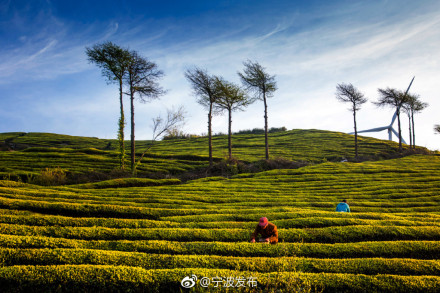 "美翻了,我的村"作品展:宁波东山村 此景只应天上有