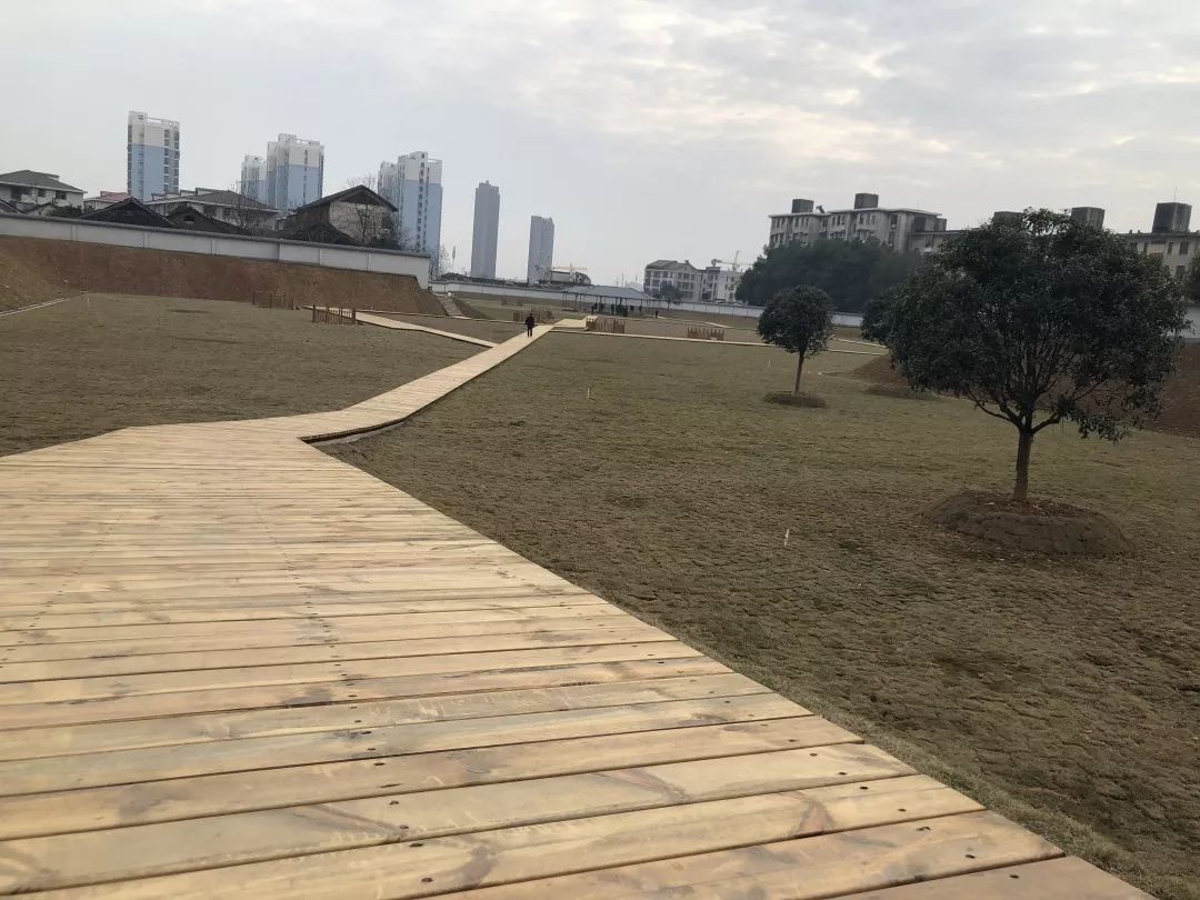 兔子山遗址考古发掘现场保护和环境整治工程通过竣工初验,将建简牍