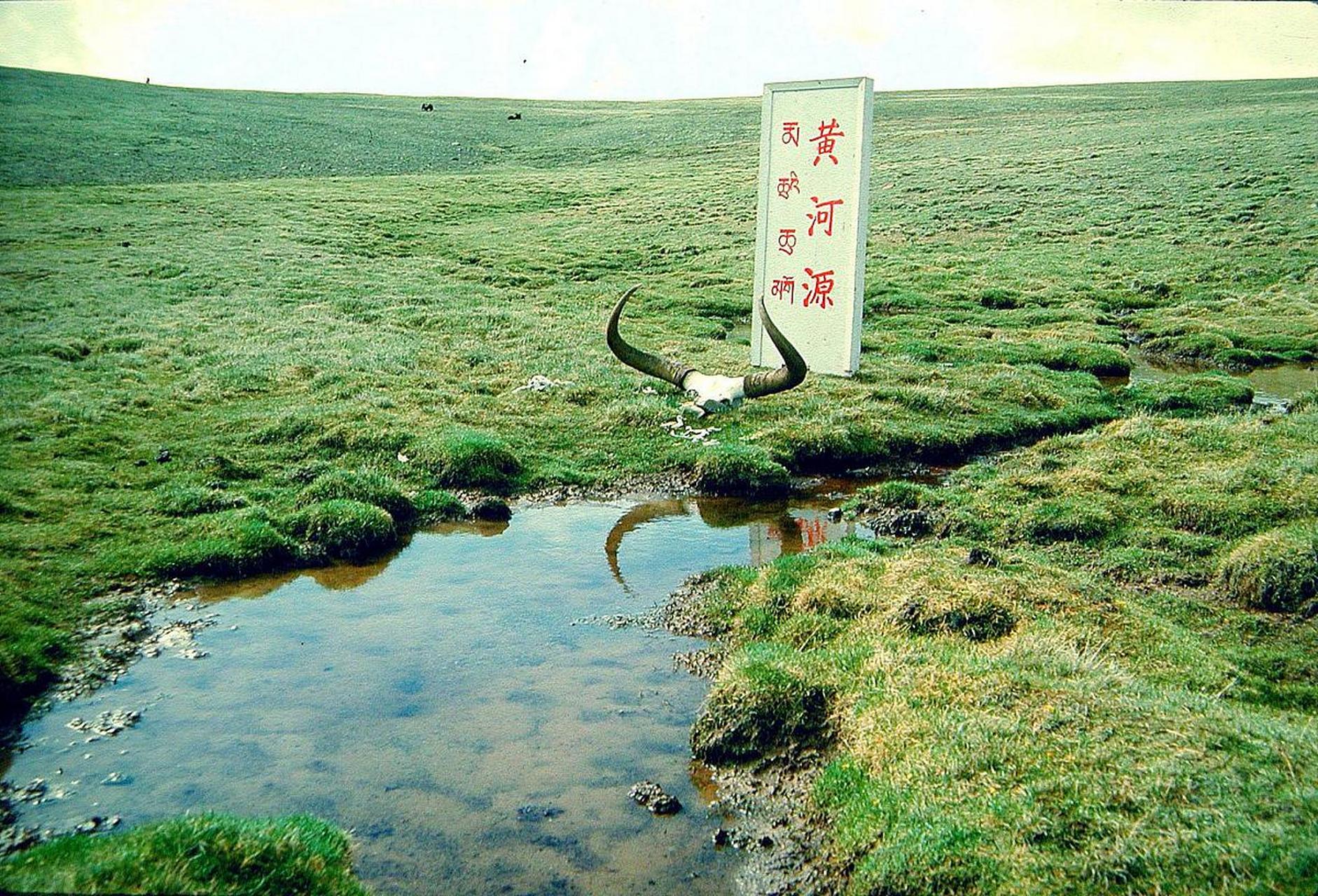 最简单的选股策略 1,沪深300指标股 2,中证500指标