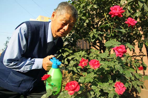 75岁老大爷道出养花终极奥义,原来养花还有这些好处!