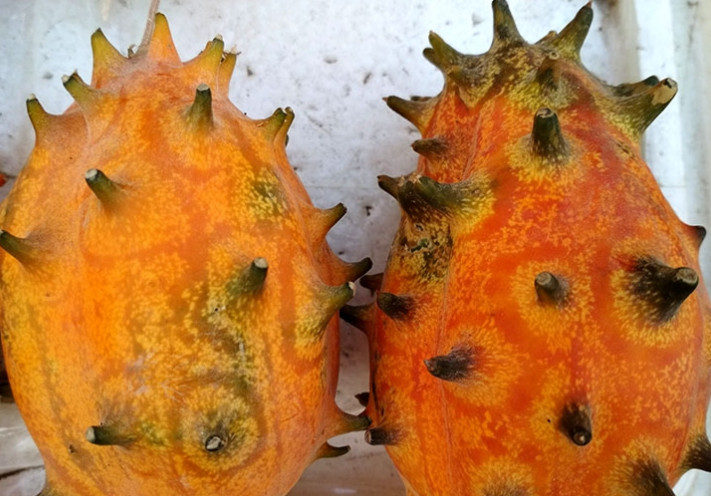 带刺的水果上市,吃起来有点黄瓜味