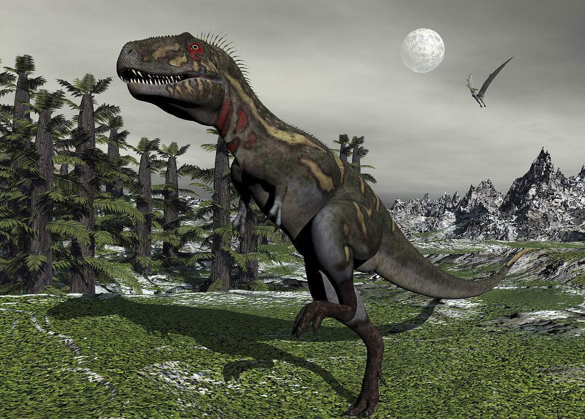 斯腾伯格父子在美国怀俄明州康弗斯县发现了一个保存良好的恐龙化石