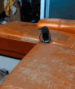 搞笑gif:这表情可以说是很鬼畜了!不,是新一代表情包