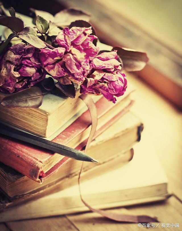 你有多久没有读过一本书了?你有多久没有欣赏过一朵花了?