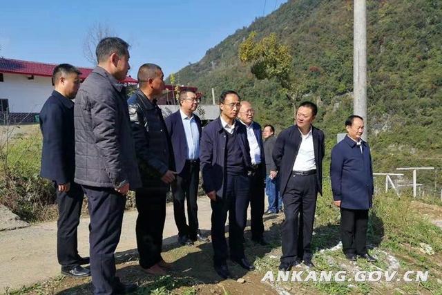 安康市副市长鲁琦在岚皋县调研生态脱贫,产业脱贫和环境保护工作