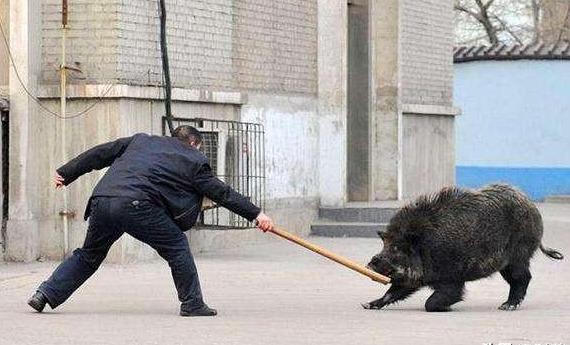 弓箭- 热门商品专区