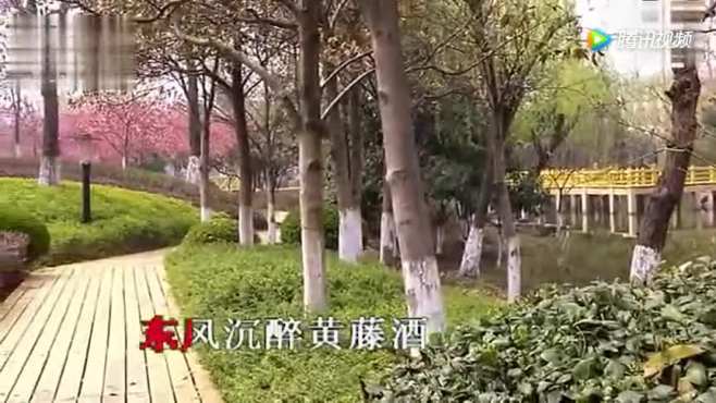 [图]越剧《陆游与唐婉》“浪迹天涯”茅威涛演唱，委婉深沉